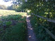 Босівка з panoramio.com