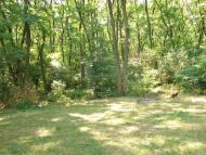 Ганнівка з panoramio.com