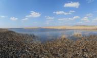 Знаменівка з panoramio.com - Знаменовка