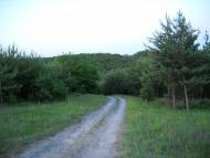 Пересічна з panoramio.com - Пересічна