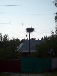Вишняки з panoramio.com - Вишняки