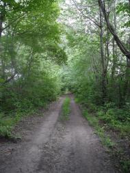 Сніжна з panoramio.com