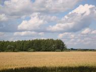 Клітчин з panoramio.com