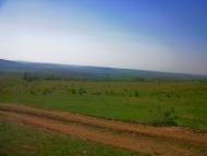 Лазарівка з panoramio.com