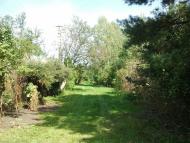 Торф'яне з panoramio.com