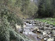 Майдан з panoramio.com