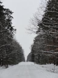 Бодячів з panoramio.com