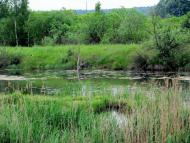 Тростянець з panoramio.com