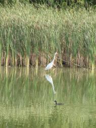 Данилівка з panoramio.com