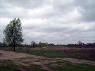 Тарасенки з panoramio.com