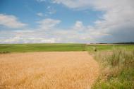 Великий Карабчіїв з panoramio.com