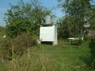 Рижики з panoramio.com