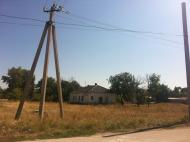 Дрофине з panoramio.com