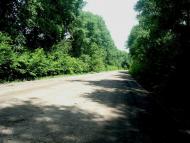 Черепова з panoramio.com