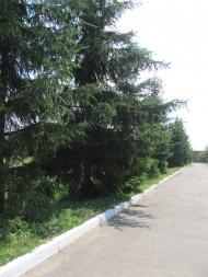 Дейкалівка з panoramio.com