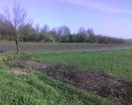 Прикордонна Улашанівка з panoramio.com