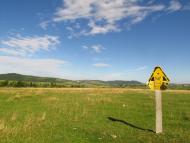 Бабче з panoramio.com