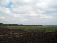 Тарасенки з panoramio.com