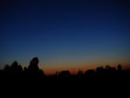 Іванківці з panoramio.com