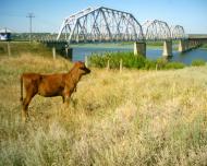 Піски з panoramio.com