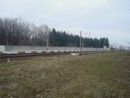 Сербинівці з panoramio.com