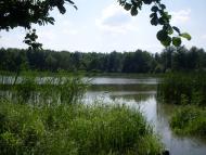 Нараївка з panoramio.com