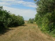 Пересадівка з panoramio.com