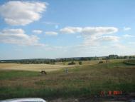 Максимівка з panoramio.com