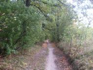 Куна з panoramio.com