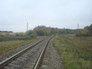 Буйволівці з panoramio.com