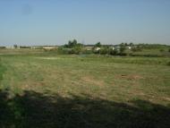 Ржавчик з panoramio.com