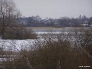 Пісочне з panoramio.com