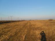 Меліоративне з panoramio.com - Мелиоративное