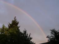 Андрушівка з panoramio.com