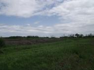 Михайлівка з panoramio.com