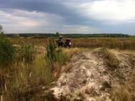 Берестянка з panoramio.com