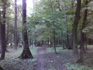 Покровка з panoramio.com