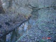 Добротимофіївка з panoramio.com