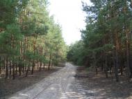 Мареничі з panoramio.com