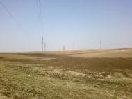 Великий Омеляник з panoramio.com