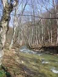 Овражки з panoramio.com - Овражки