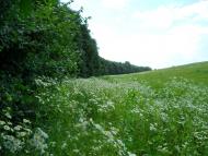 Сніжна з panoramio.com