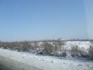 Каштанове з panoramio.com