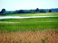 Тростянець з panoramio.com