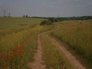 Великий Омеляник з panoramio.com