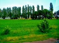 Хижинці з panoramio.com