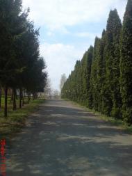 Босівка з panoramio.com