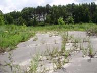 Остроушки з panoramio.com