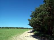 Вишняки з panoramio.com