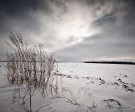 Гулі з panoramio.com